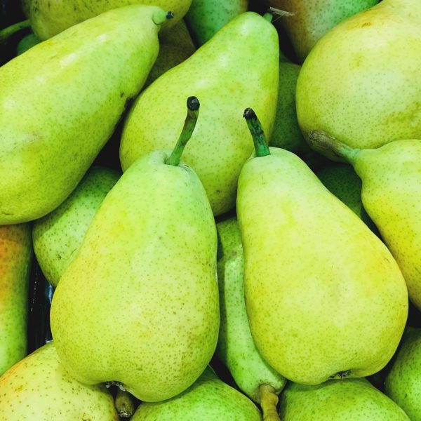 PERA LIMONERA - Imagen 2