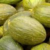 MELON EXTRA - Imagen 2