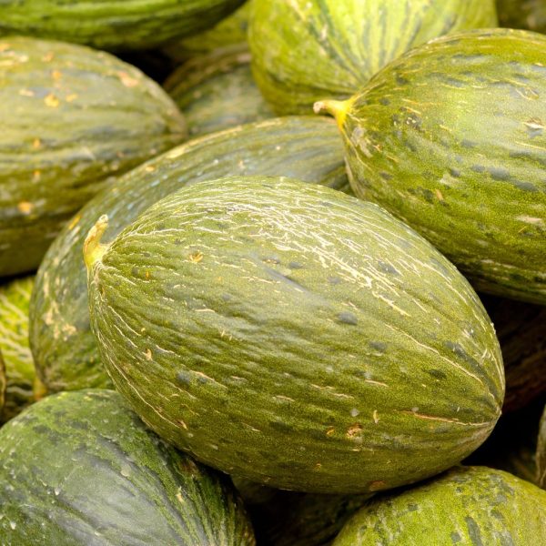 MELON EXTRA - Imagen 2