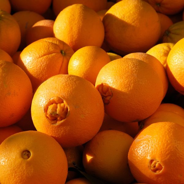 NARANJA MESA - Imagen 2