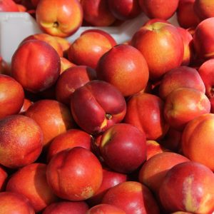 NECTARINA