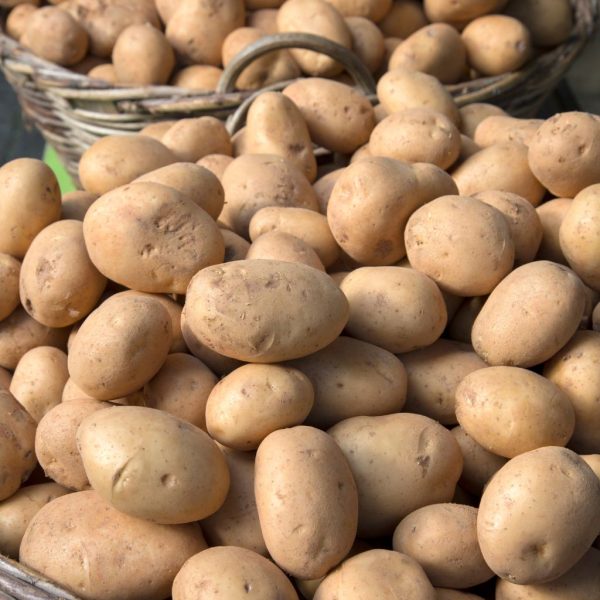 PATATAS (todo uso culinario) - Imagen 3