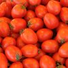 TOMATE PERA - Imagen 2
