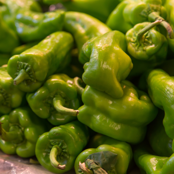 PIMIENTO ITALIANO - Imagen 4