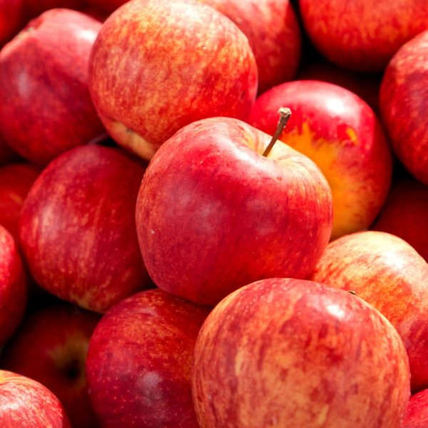 MANZANA ROYAL GALA - Imagen 2