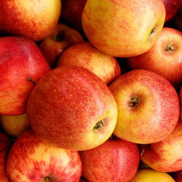 MANZANA ROYAL GALA - Imagen 3