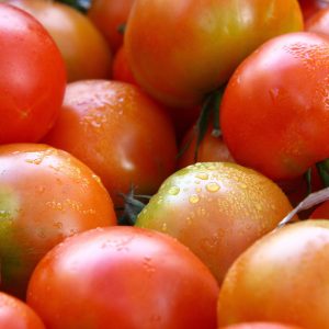 TOMATE ENSALADA