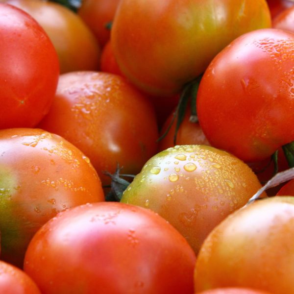 TOMATE ENSALADA