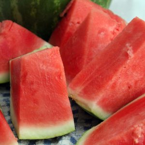 SANDIA (sin pipa)
