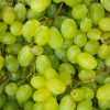 UVAS BLANCAS sin pipa