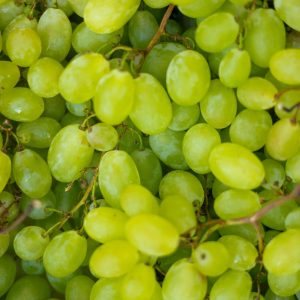 UVAS BLANCAS sin pipa
