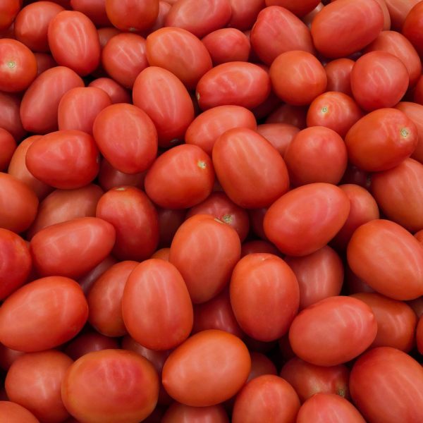 TOMATE PERA G - Imagen 2