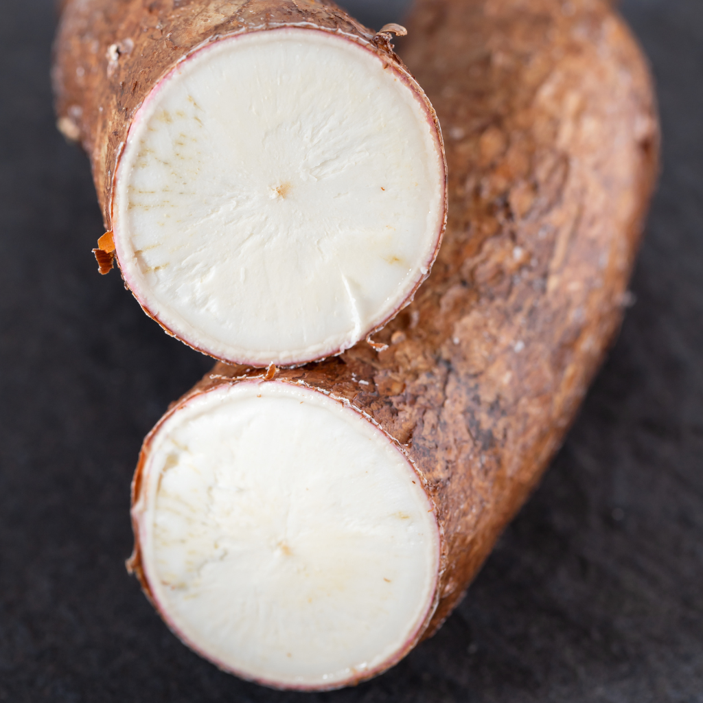 Raíz de yuca con pulpa blanca fresca