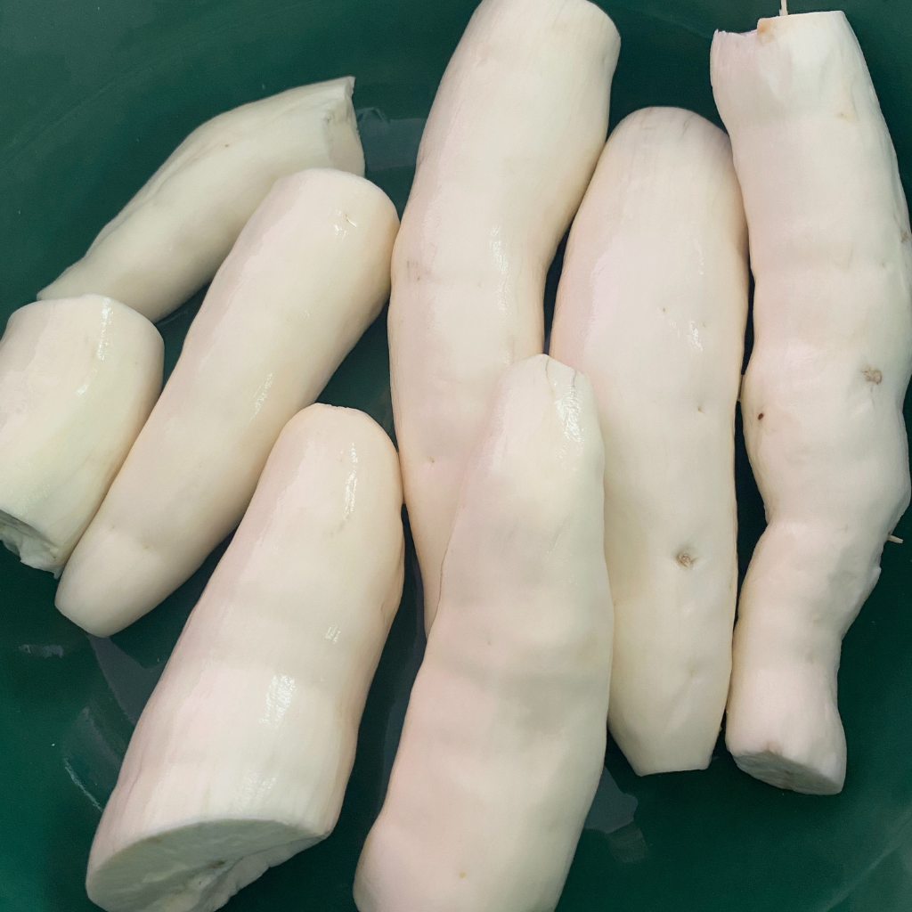 Raíces de yuca pelada