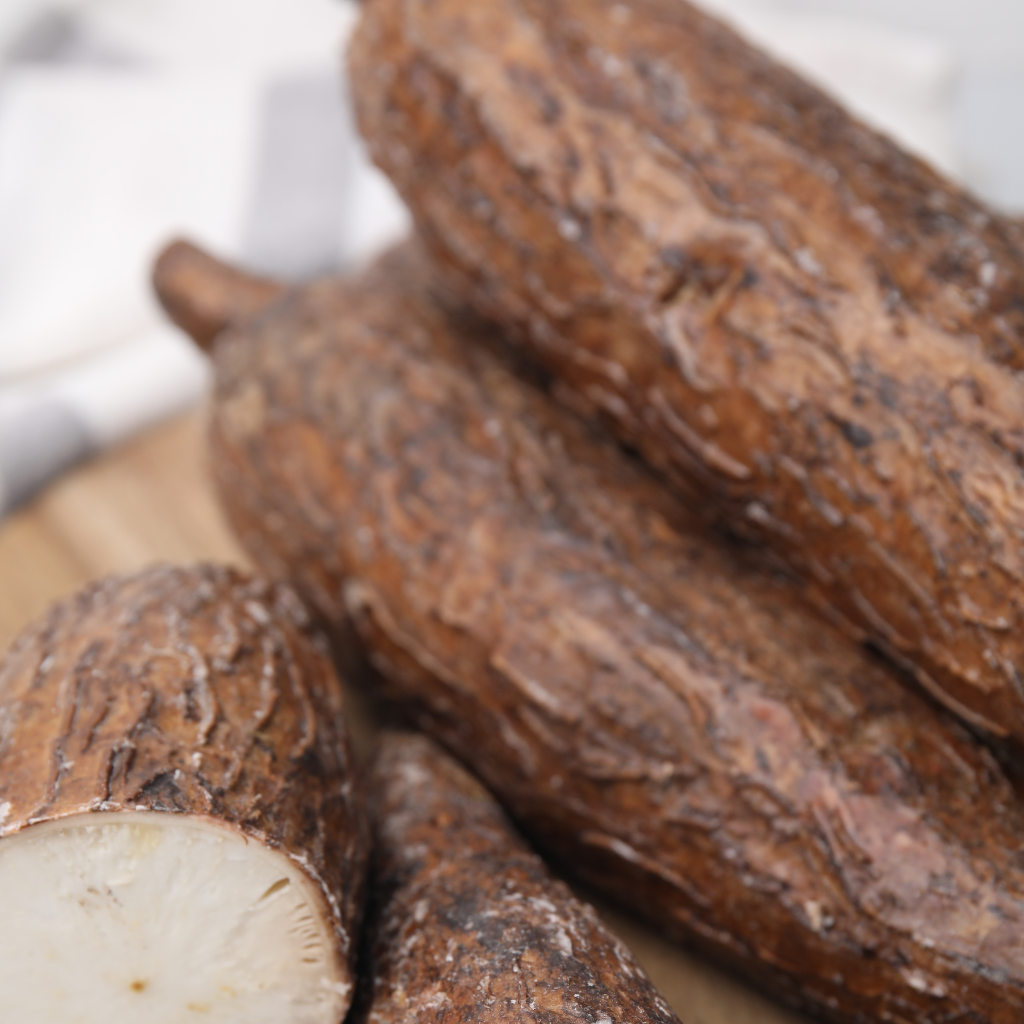 Raíces de yuca entera frescas para cocinar