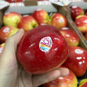 manzana Samboa fresca en mano, lista para disfrutar
