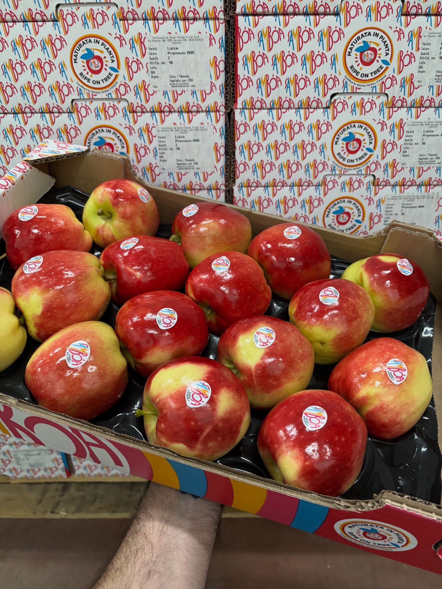 caja de manzanas Samboa premium para Disfrutaonline