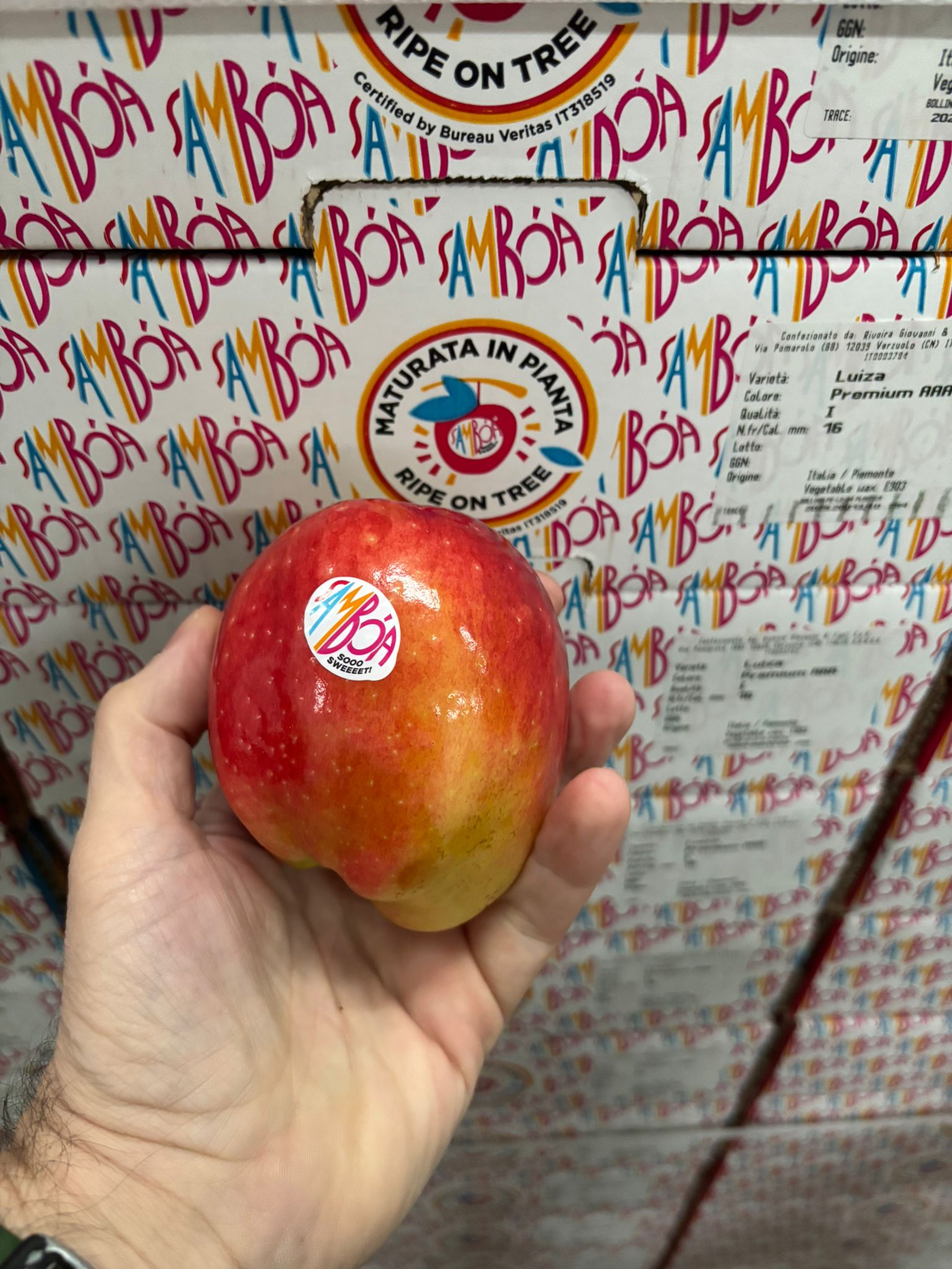 manzana Samboa premium con fondo de cajas de origen