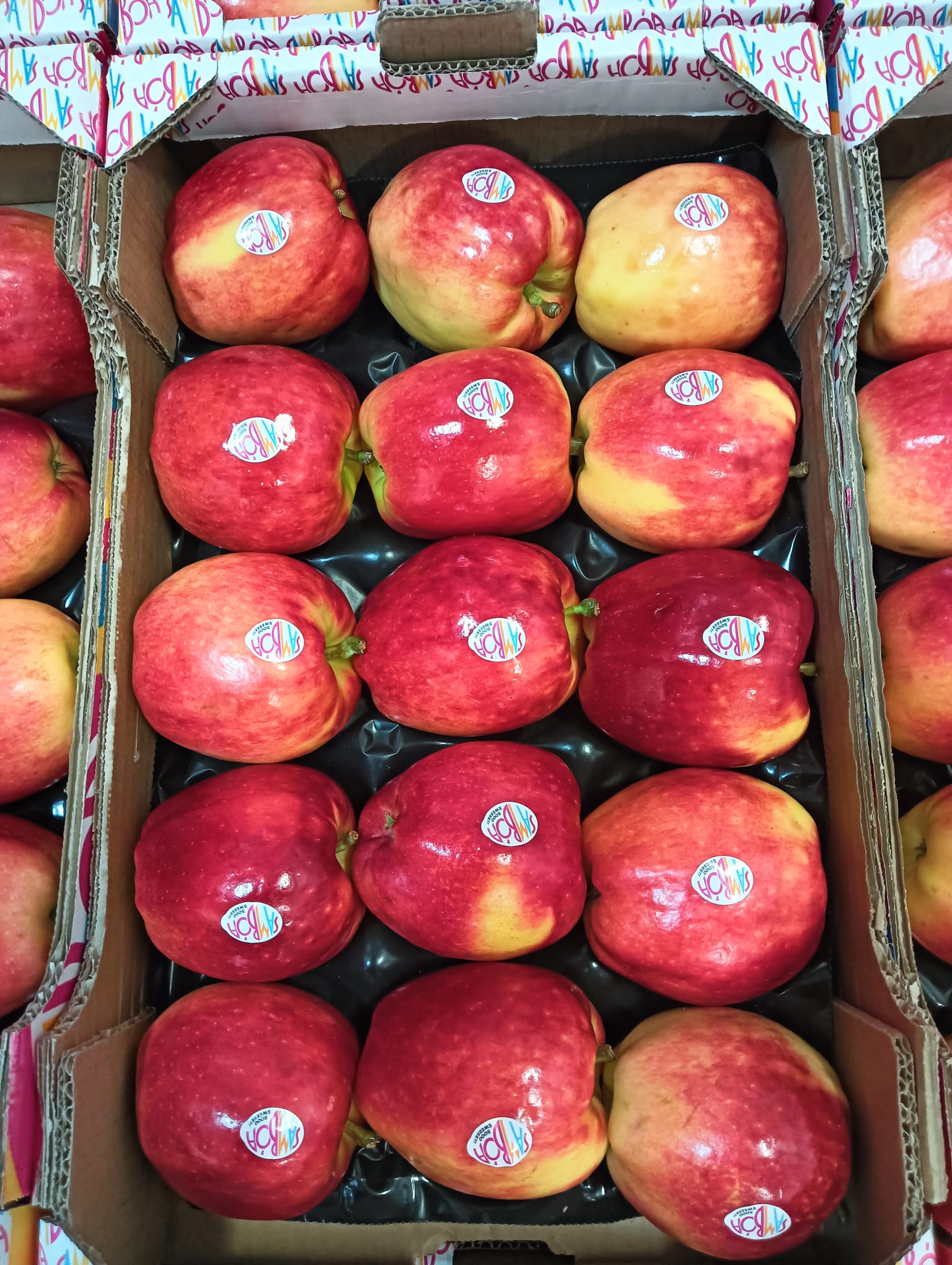 Manzanas Samboa frescas en caja lista para envío