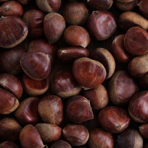 Castañas frescas recién recogidas del campo. Disfrutaonline